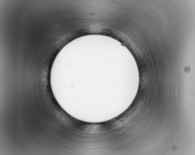 X0000101950497200808151256