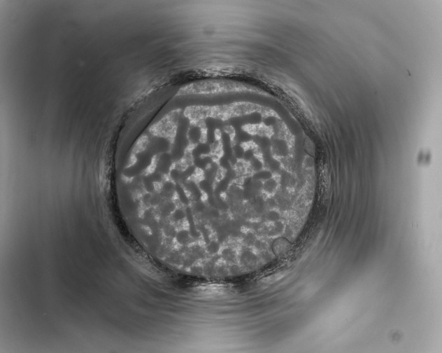X0000101950499200808151256