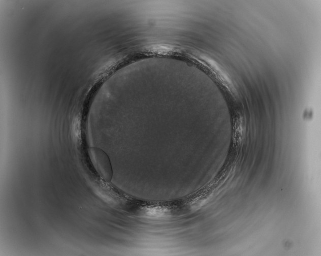 X0000101950500200808151256