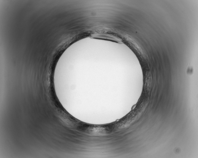 X0000101950501200808151256