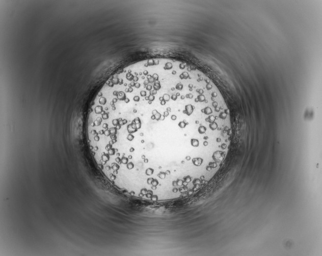 X0000101950502200808151256