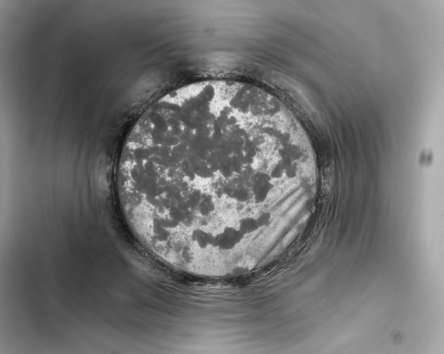 X0000101950503200808151256