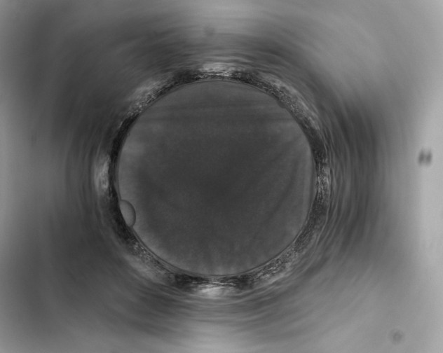 X0000101950504200808151256