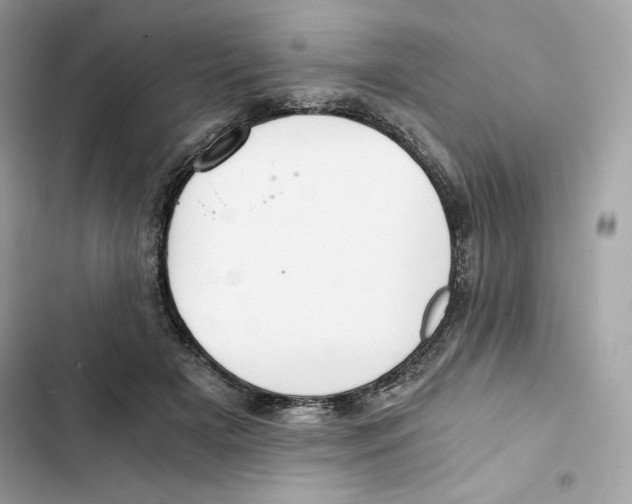X0000101950505200808151256