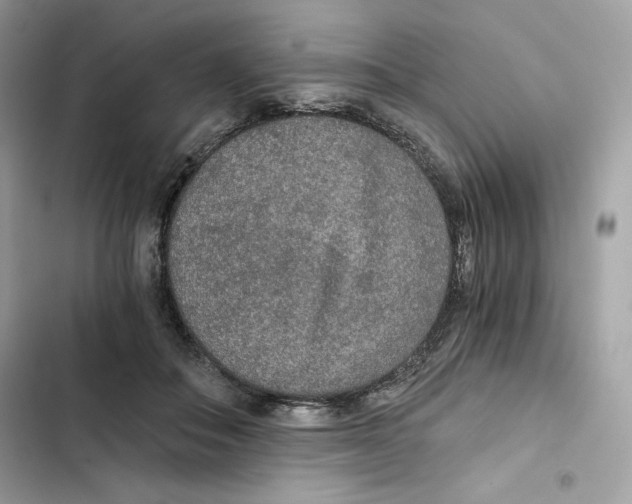 X0000101950506200808151256