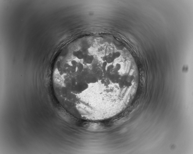 X0000101950507200808151256