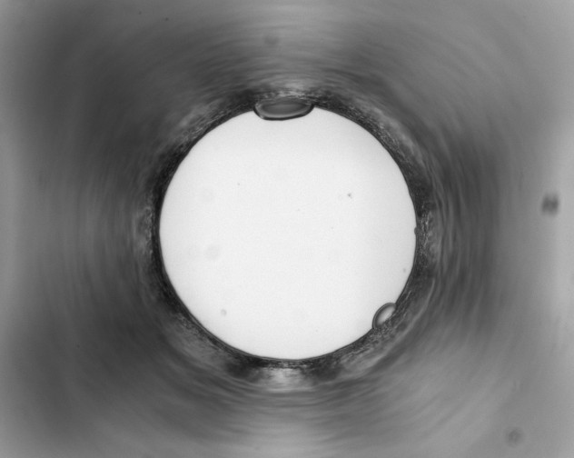 X0000101950509200808151256