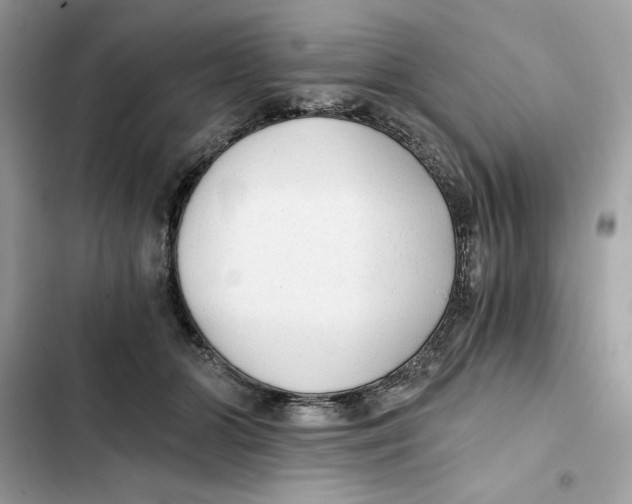 X0000101950510200808151256