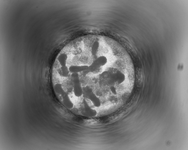 X0000101950511200808151256