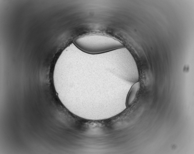 X0000101950512200808151256