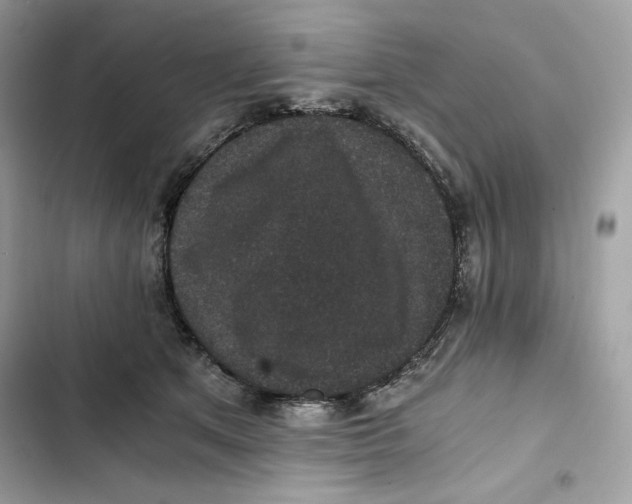 X0000101950513200808151256
