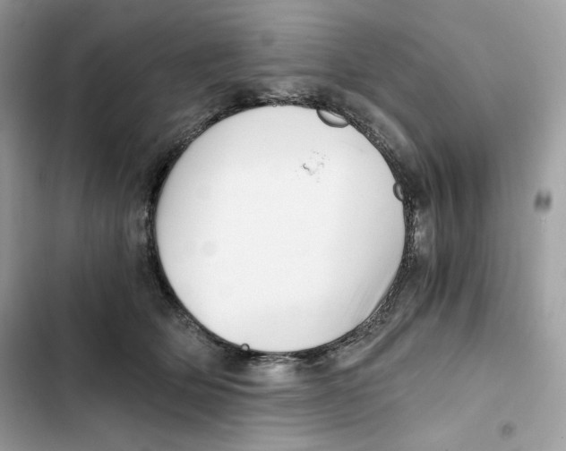 X0000101950514200808151256