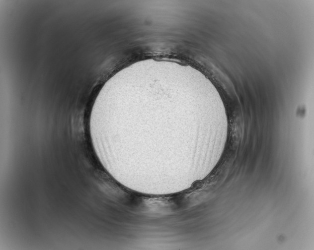 X0000101950516200808151255
