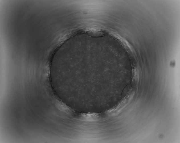 X0000101950517200808151255