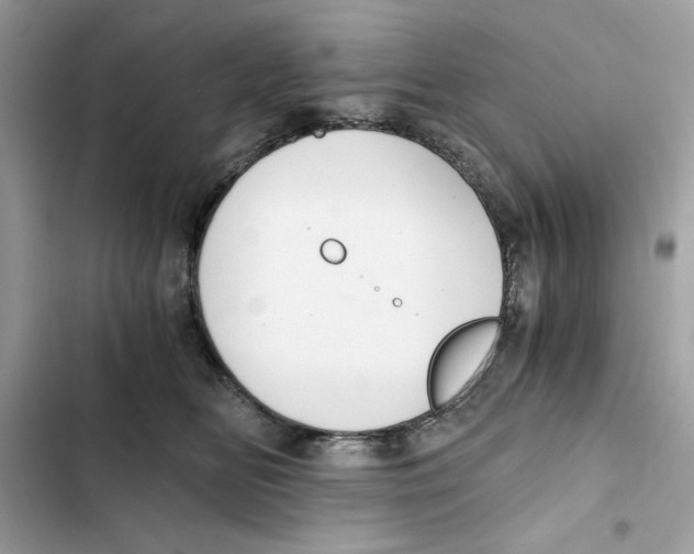X0000101950518200808151255