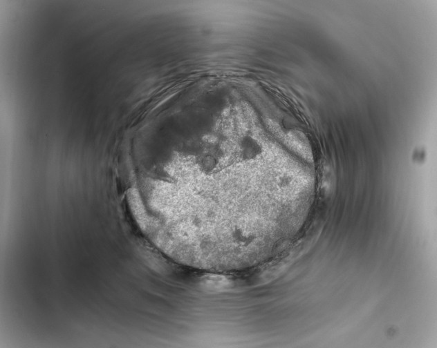 X0000101950519200808151255