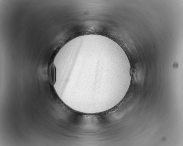 X0000101950520200808151255