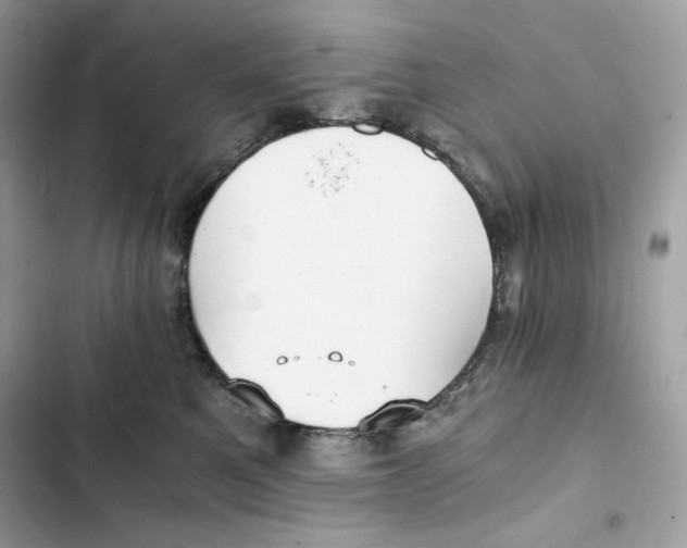 X0000101950521200808151255