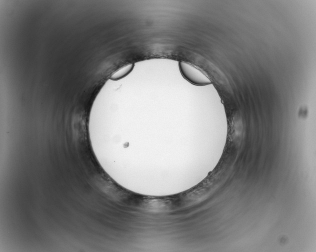 X0000101950522200808151255