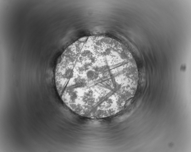 X0000101950523200808151255