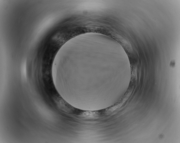 X0000101950526200808151255