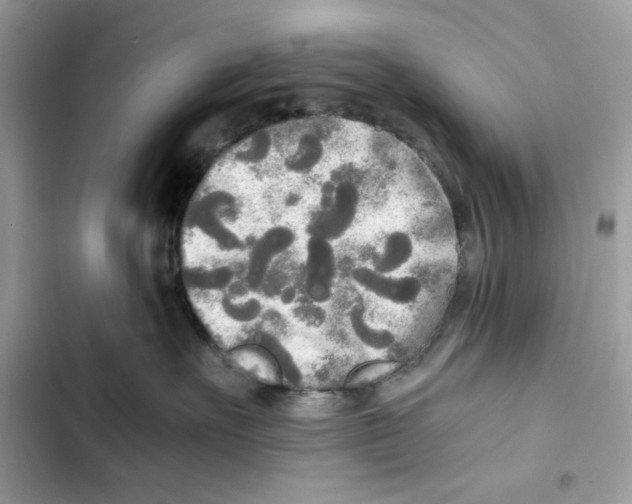 X0000101950527200808151255