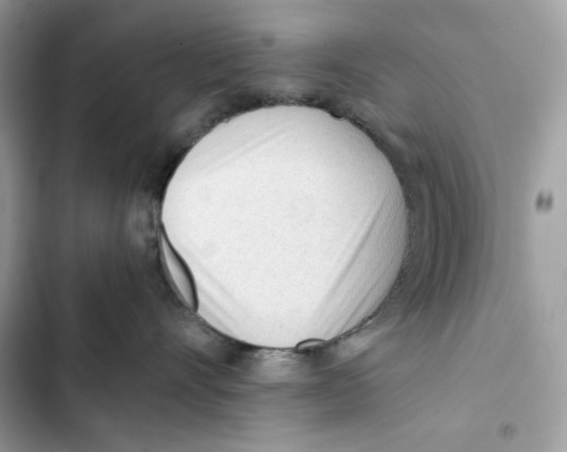 X0000101950528200808151255