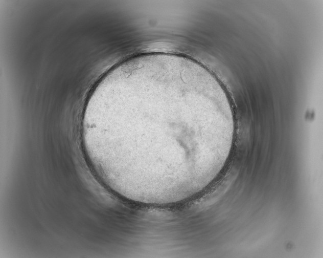 X0000101950529200808151254
