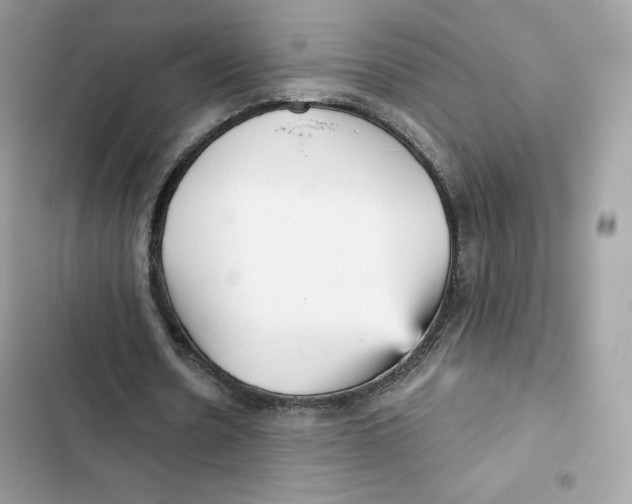 X0000101950530200808151254