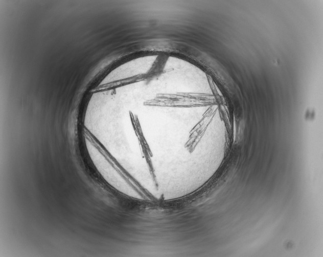 X0000101950531200808151255
