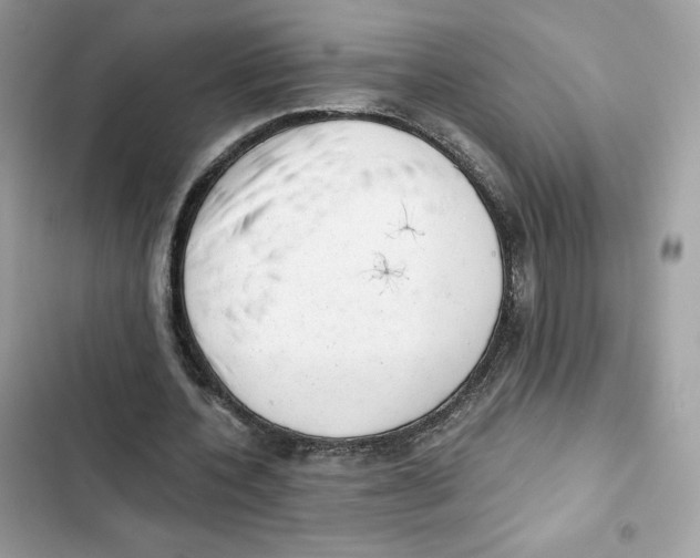 X0000101950532200808151255