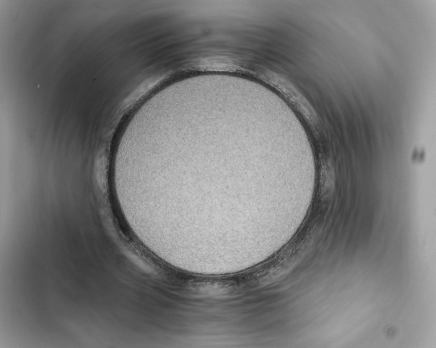 X0000101950533200808151255