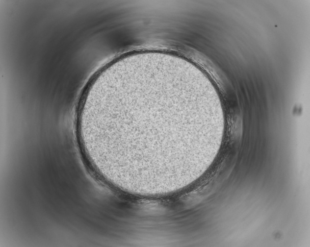 X0000101950534200808151255