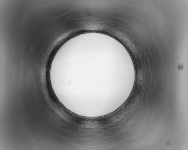 X0000101950535200808151255