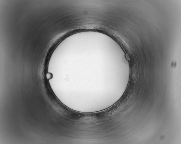 X0000101950536200808151255