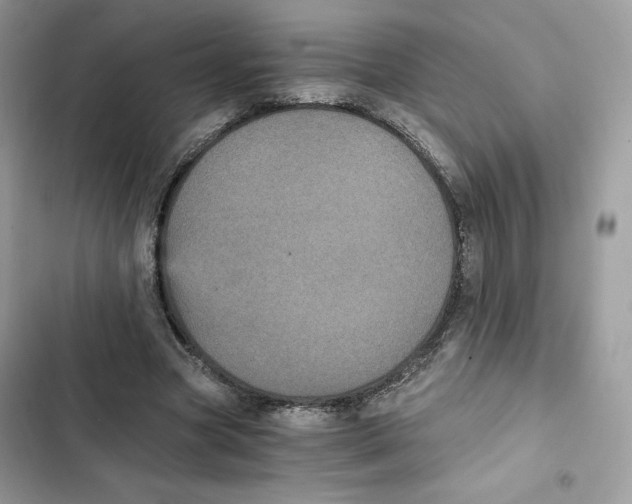 X0000101950537200808151255