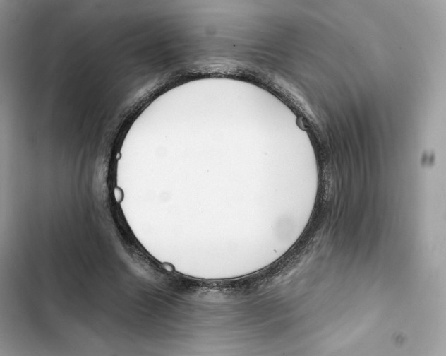 X0000101950538200808151255