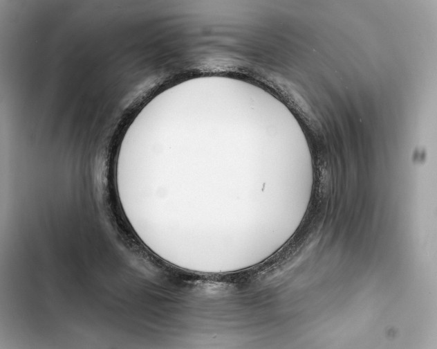 X0000101950539200808151255