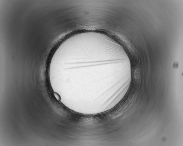 X0000101950540200808151255