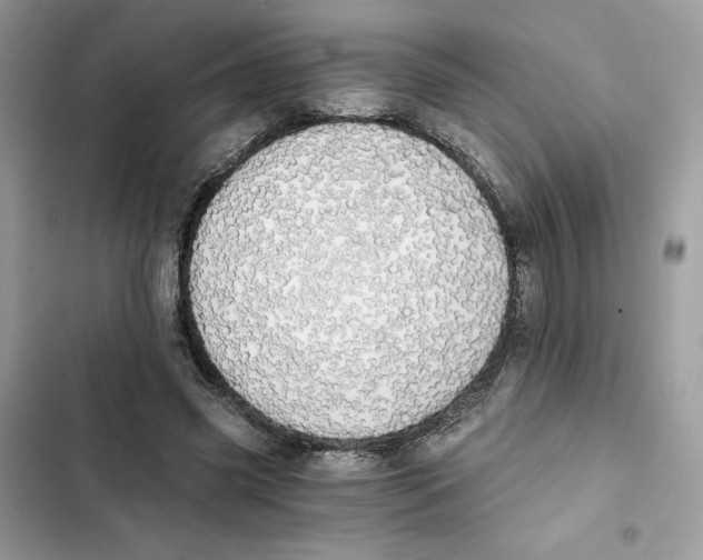 X0000101950541200808151255