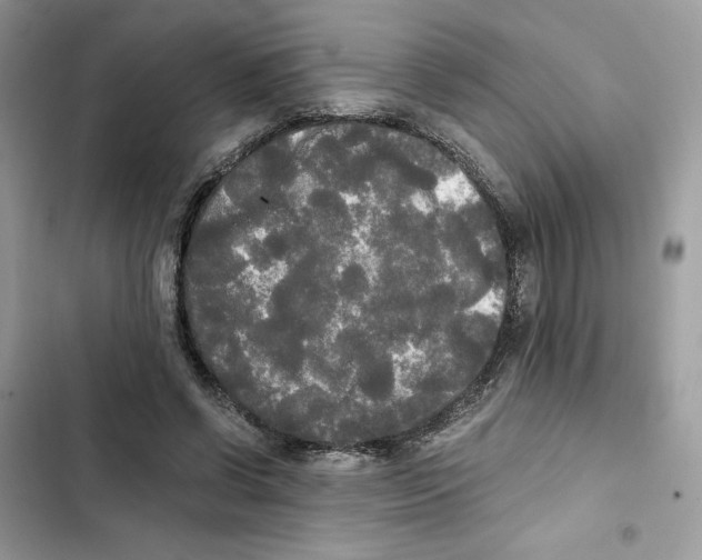 X0000101950542200808151255