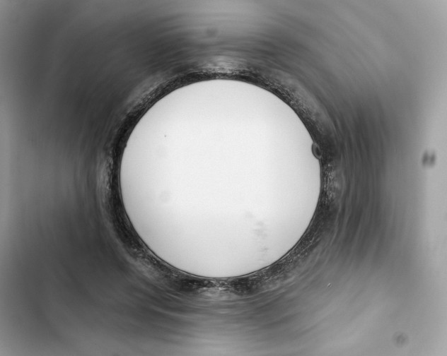 X0000101950544200808151255