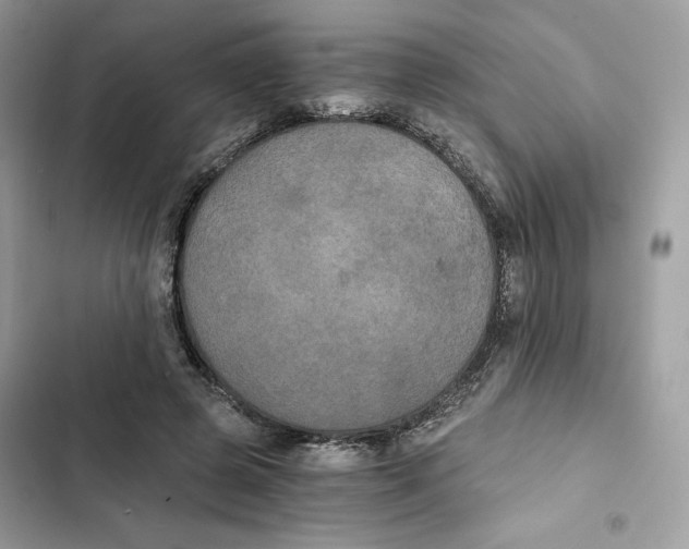 X0000101950545200808151255