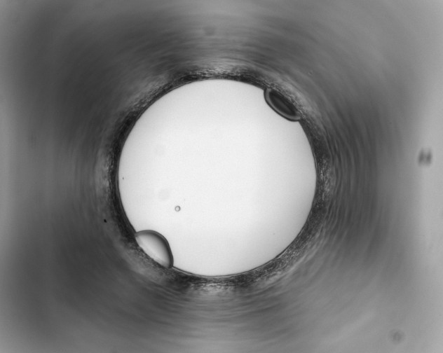 X0000101950546200808151255