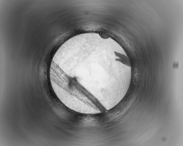 X0000101950547200808151255