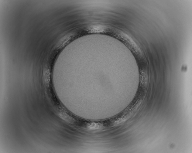 X0000101950549200808151255