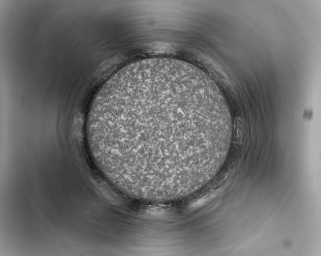 X0000101950550200808151255