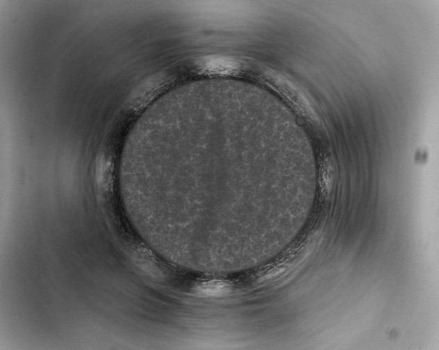 X0000101950551200808151255
