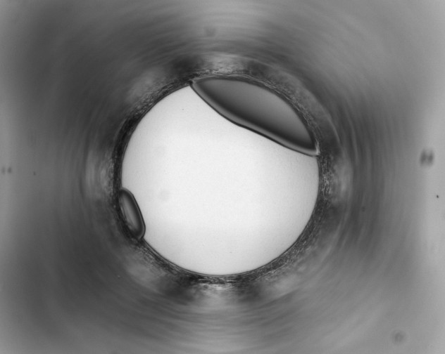 X0000101950552200808151255