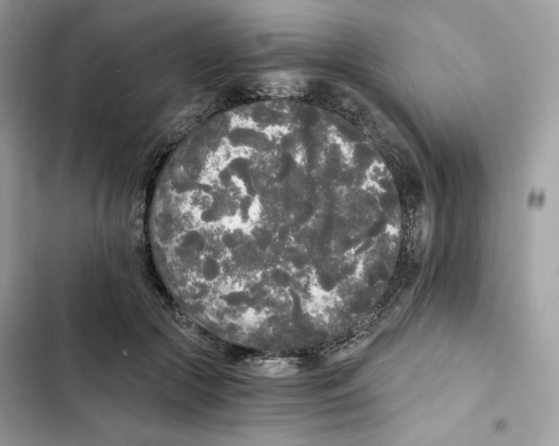 X0000101950553200808151255